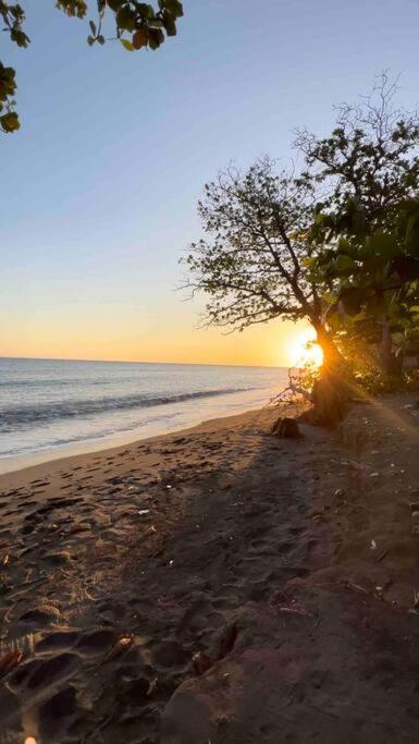 Luxury Beach Front Apartment In Palenque Juan Baron Exterior foto